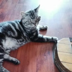 (1) SC_221023_145332