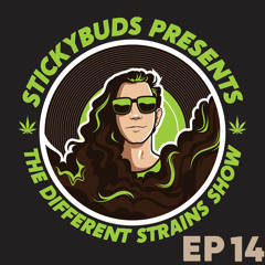 The Different Strains Show (EP14)