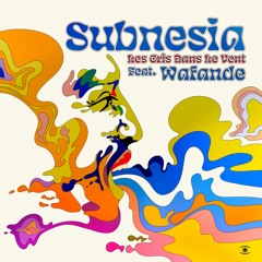 Subnesia - Les Cris Dans Le Vent (ft. Wafande) - s0832