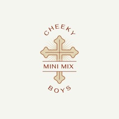 mini mix