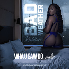 Wha U Gaw Do (Raw)