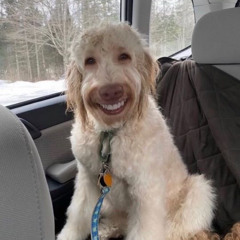 не догонишь freestyle (feat.nate)