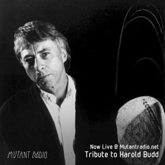 Tribute to Harold Budd w.Jaba Shavishvili [22.05.2020]