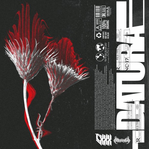 CXXX - DATURA