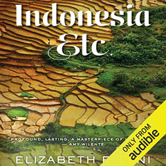 READ EBOOK 📗 Indonesia, Etc.: Exploring the Improbable Nation by  Elizabeth Pisani,J