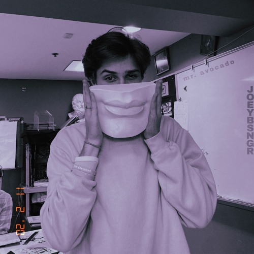 mr. avocado