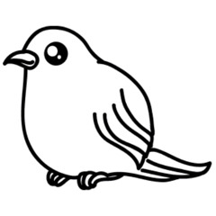 cuckoo