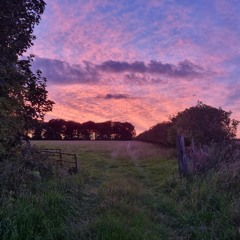 Grave Pastures