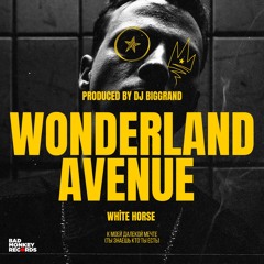 Wonderland Avenue - White Horse (DJ BigGrand Edit Mix)