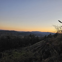 Look on Down The Road