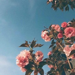 Pamplem'House — Remembrance (Echocup Remix)