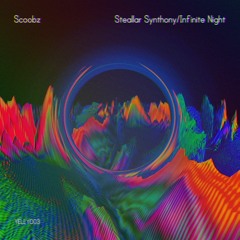 PREMIERE: Scoobz - Infinite Night