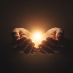Light We Hold
