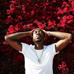 Freddie Gibbs LA Leakers Freestyle (Mugensoul Remix)