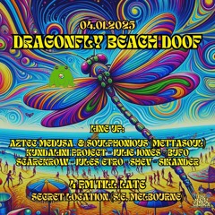 Dragonfly Beach Doof Live Mix January 2025 126bpm