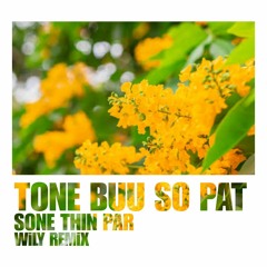 Sone Thin Par - Tone Buu So Pat [WiLY BAiLE REMiX]