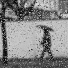 Rainy Tuesday Afternoon