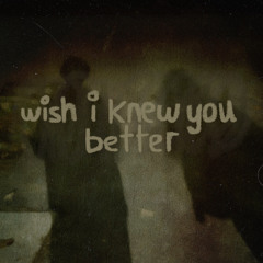 Wish I Knew You Better