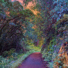 Future / Drake / Im On One Remix (prod. by MКШ)