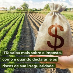 ITR: saiba mais sobre o imposto, como e quando declarar, e os riscos de sua irregularidade