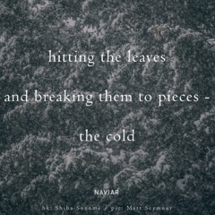naviarhaiku383: hitting the leaves