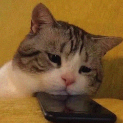 stalk ur socials (slowed)