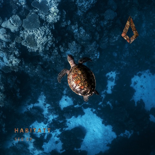 Premiere: Habitatt - See [Purified]