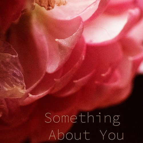Something About You (FRAWSTAKWA & Cosmic Keanu)