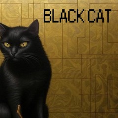 Black Cat (LIVE) K:KITCHEN RADIO