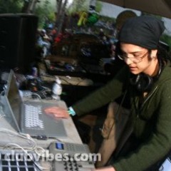 2005 The Phat Conductor (pre ill.Gates) - LIVE at Shambhala: Fractal Forest Stage