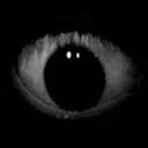 iwontgo (prod.zupehr)