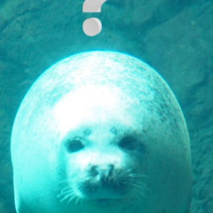 milkypossum - Interstellar (DM DOKURO Remix).mp3