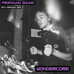 Profound Sound Mix Series [05] w/ Wondercore (Breaks 2022)