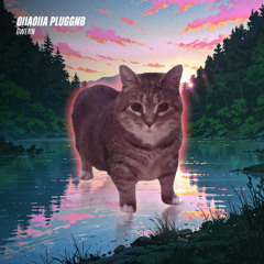 oiia oiia cat pluggnb