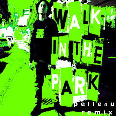 feng - walk in the park pelle4u remix