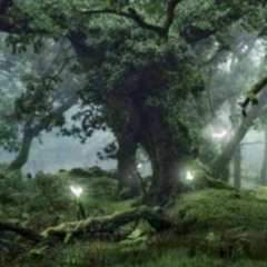 Les Smirields ᖭི༏ᖫྀ