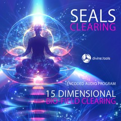 Seals Clearing - 5 Minute Demo - Divine Tools www.divine.tools
