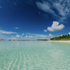 DDC - tropical house