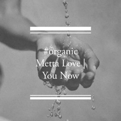 #organic Patina Maldives August 2022 Metta Love | You Now