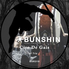 Ciro De Gais - Tribal Trip (FREE DOWNLOAD)