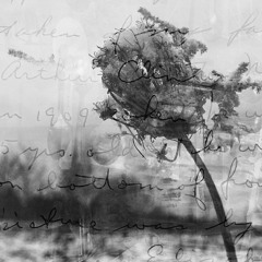 - winter solstice click