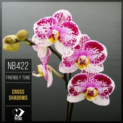 Friendly Tune - Internal Values (Original Mix)