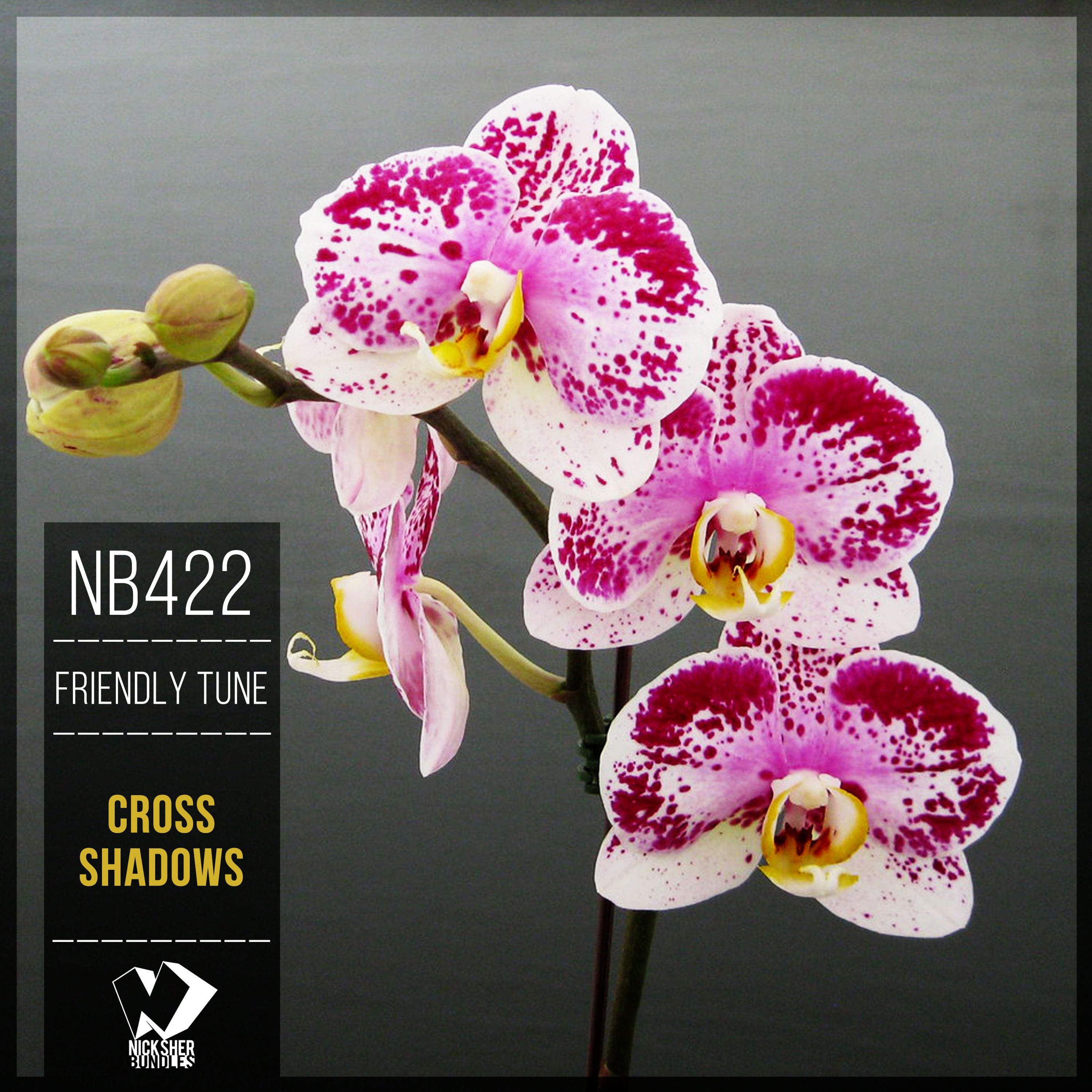 Friendly Tune - Cross Shadows (Original Mix) episode artwork