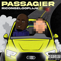 Ricongelooflijk  - Passagier