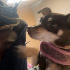 i know u from somewhere