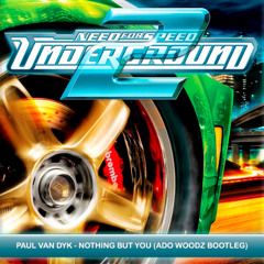 Paul Van Dyk - Nothing But You (Ado Woodz Bootleg)