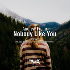 Andrew Frenir - Nobody Like You (Vincent Zauhar Remix) [SMLD082]