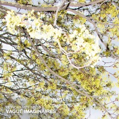 Monday Meetings 6: Vague Imaginaires