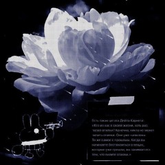 AsteraSounds - Ночь (Speed Up)*⁠.⁠✧