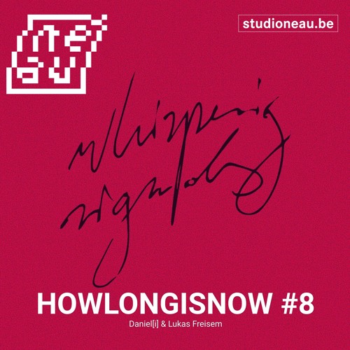 HOWLONGISNOW #8 - Daniel[i] & Lukas Freisem